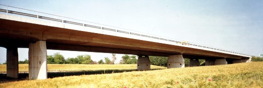 PONTI A PIASTRA MEDUNA
